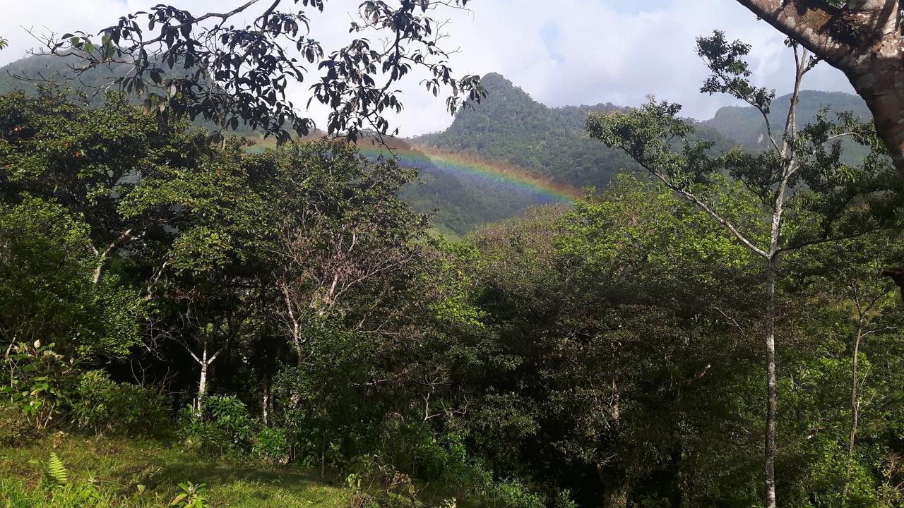 Rainforest Yasmin Hotel Santa Fe  Exteriér fotografie