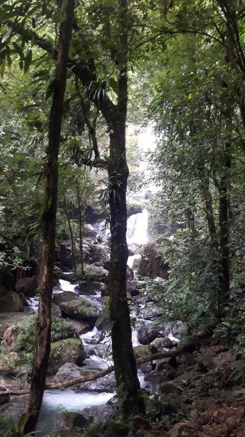 Rainforest Yasmin Hotel Santa Fe  Exteriér fotografie
